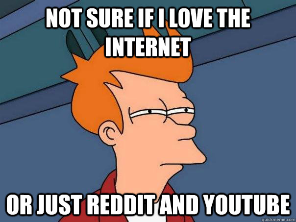 not sure if i love the internet or just reddit and youtube  Futurama Fry