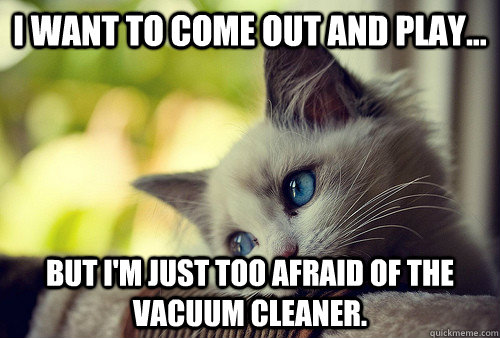 I want to come out and play... but i'm just too afraid of the vacuum cleaner.  First World Problems Cat