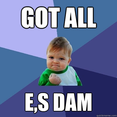 got all e,s dam  Success Kid