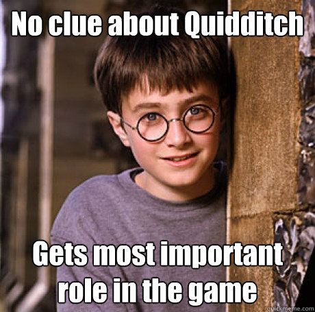 No clue about Quidditch Gets most important role in the game  