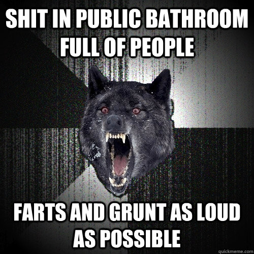 Shit in public bathroom full of people Farts and grunt as loud as possible  Insanity Wolf