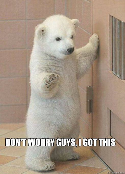 Don't worry guys, I got this - Don't worry guys, I got this  Polar Bear Got This