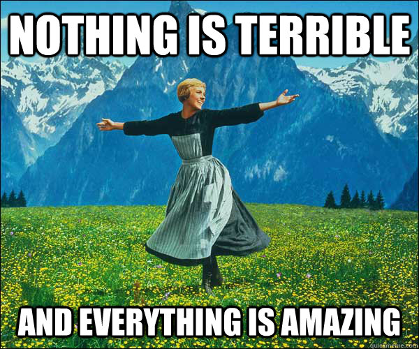 Nothing is terrible and everything is amazing  Sound of Music