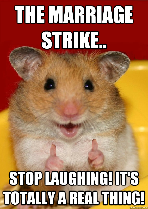 the marriage strike.. stop laughing! it's totally a real thing!   - the marriage strike.. stop laughing! it's totally a real thing!    Rationalization Hamster