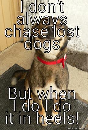 I DON'T ALWAYS CHASE LOST DOGS BUT WHEN I DO I DO IT IN HEELS! Good Dog Greg