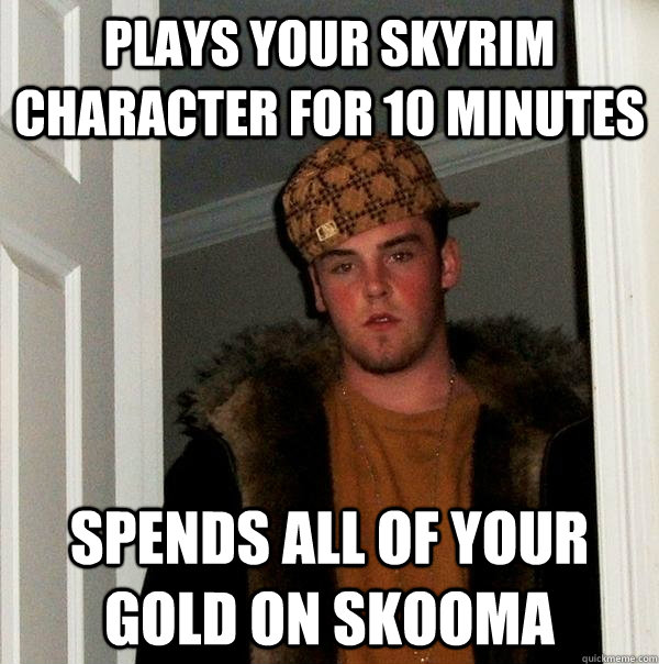 Plays your Skyrim character for 10 minutes Spends all of your gold on skooma  Scumbag Steve