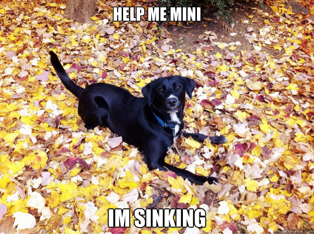 HELP ME MINI IM SINKING - HELP ME MINI IM SINKING  Guilt Giving Good Dog