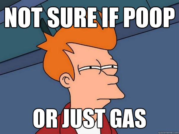 not sure if poop or just gas  Futurama Fry