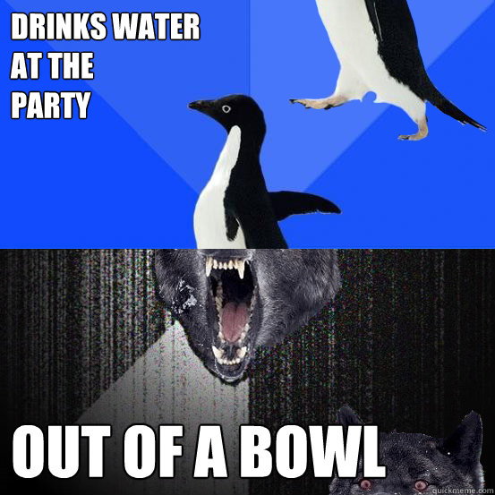 Drinks water 
at the 
party out of a bowl  Socially Awkward Insanity Wolf