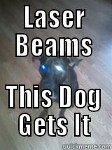 AWWWWW shiiiit niiggaaaa - LASER BEAMS THIS DOG GETS IT Misc