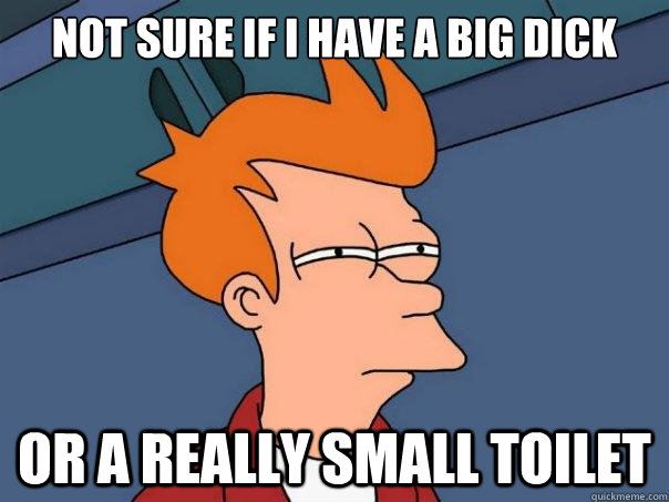 Not sure if i have a big dick Or a really small toilet  Futurama Fry