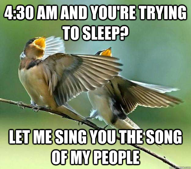 4:30 am and you're trying to sleep? Let me sing you the song of my people - 4:30 am and you're trying to sleep? Let me sing you the song of my people  Song of my people