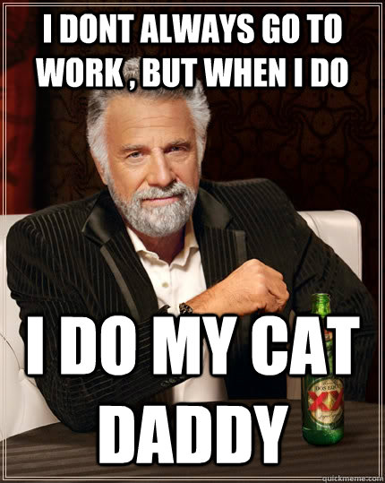 i dont always go to work , but when i do i do my cat daddy - i dont always go to work , but when i do i do my cat daddy  The Most Interesting Man In The World