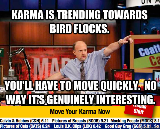 karma is trending towards bird flocks. you'll have to move quickly.  no way it's genuinely interesting. - karma is trending towards bird flocks. you'll have to move quickly.  no way it's genuinely interesting.  Mad Karma with Jim Cramer