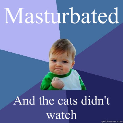 Masturbated And the cats didn't watch  Success Kid