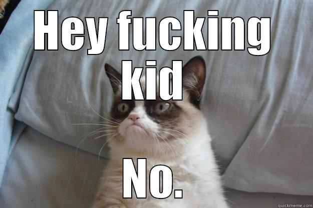 HEY FUCKING KID NO. Grumpy Cat