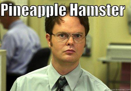 I hate you a lot - PINEAPPLE HAMSTER    Schrute