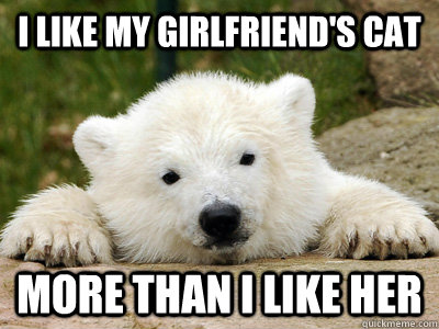 I like my girlfriend's cat more than i like her  Popular Opinion Polar Bear