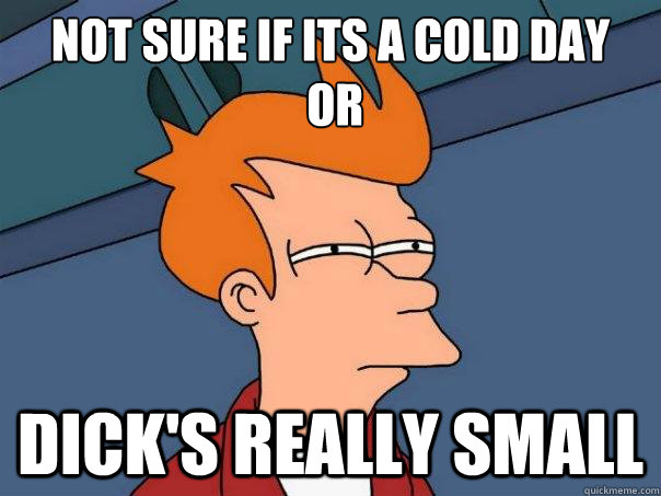 Not sure if its a cold day
 or Dick's really small  Futurama Fry