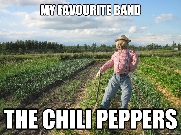 My favourite band The chili peppers  Scarecrow