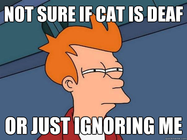 Not sure if cat is deaf or just ignoring me - Not sure if cat is deaf or just ignoring me  Futurama Fry