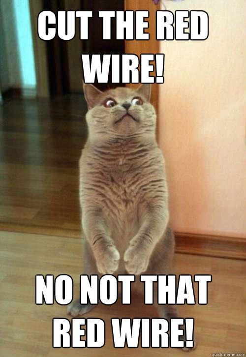 cut the red wire! no not that red wire! - cut the red wire! no not that red wire!  Horrorcat