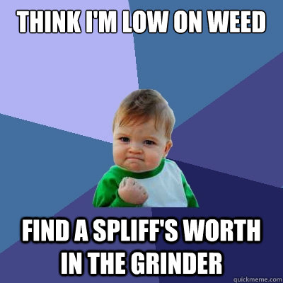 think I'm low on weed find a spliff's worth in the grinder  Success Kid