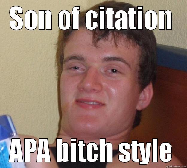 SON OF CITATION APA BITCH STYLE 10 Guy