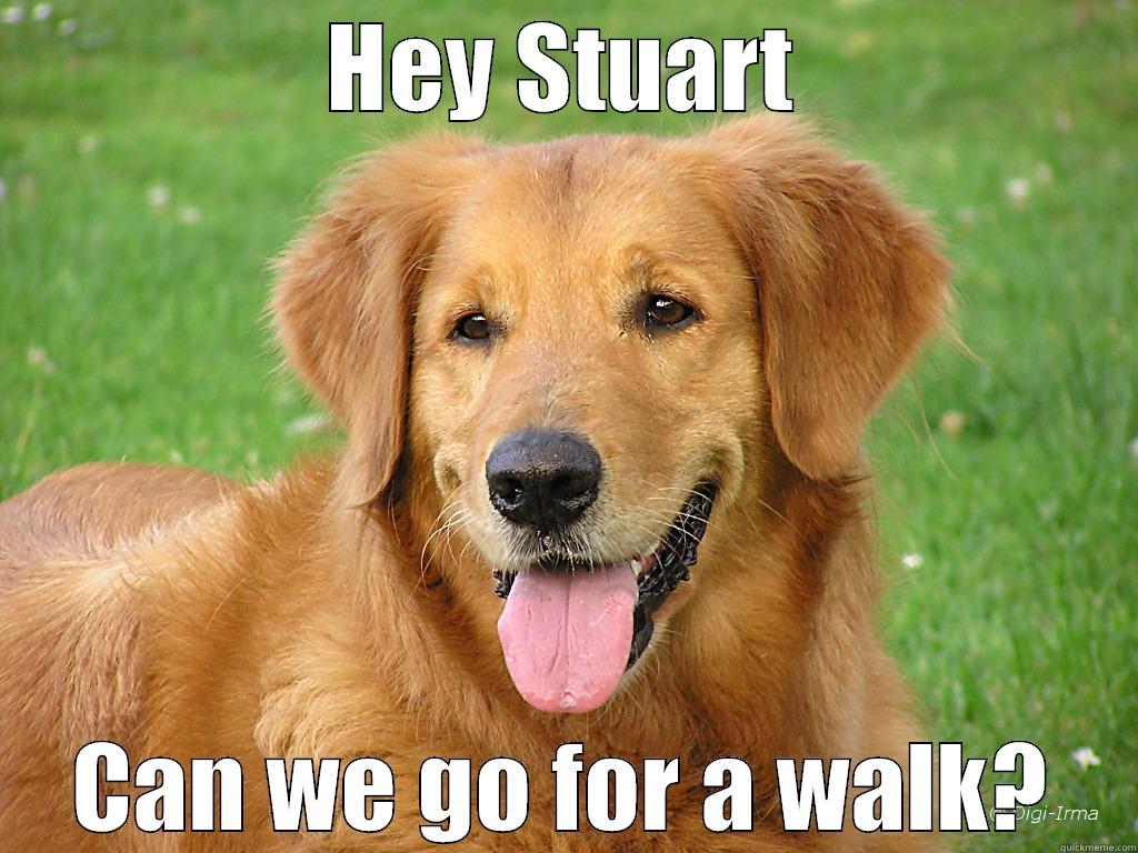 top dog meme - HEY STUART CAN WE GO FOR A WALK? Misc