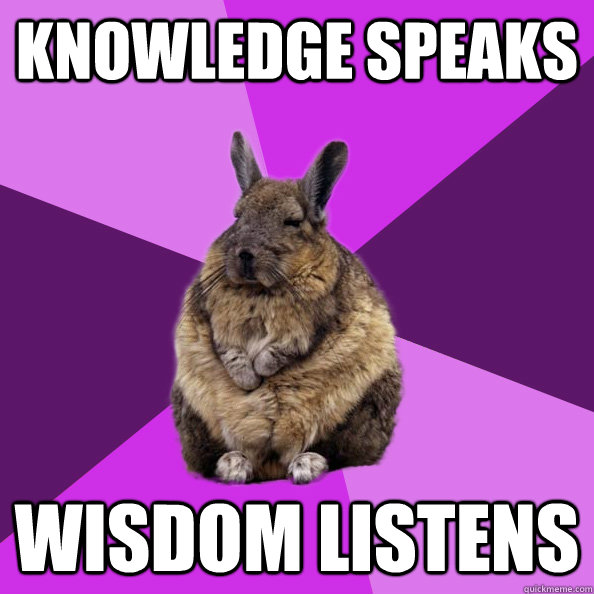 Knowledge speaks Wisdom listens  Wise Wondering Viscacha