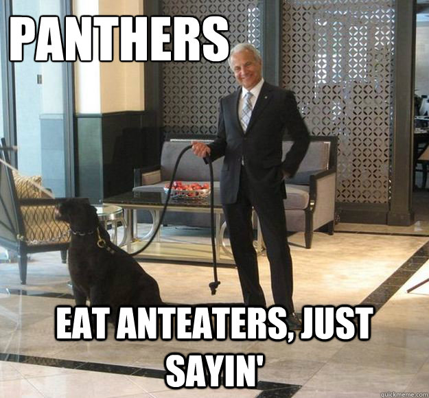 PANTHERS EAT ANTEATERS, JUST SAYIN' - PANTHERS EAT ANTEATERS, JUST SAYIN'  PANTHER DOTI