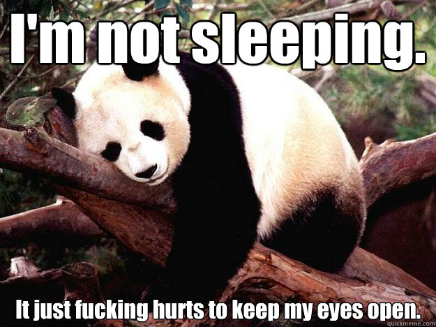 I'm not sleeping. It just fucking hurts to keep my eyes open.  Procrastination Panda