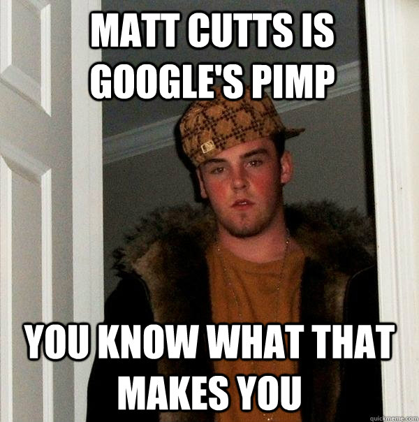 Matt Cutts is Google's Pimp You know what that makes you  Scumbag Steve