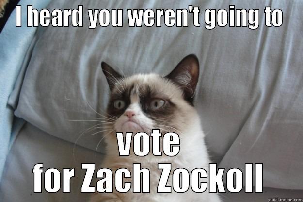 I HEARD YOU WEREN'T GOING TO VOTE FOR ZACH ZOCKOLL Grumpy Cat