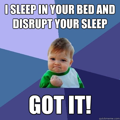 I sleep in your bed and disrupt your sleep GOT IT! - I sleep in your bed and disrupt your sleep GOT IT!  Success Kid