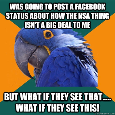 was going to post a facebook status about how the nsa thing isn't a big deal to me but what if they see that..... what if they see this!  Paranoid Parrot