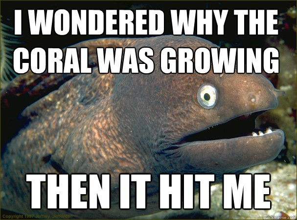 I wondered why the coral was growing then it hit me - I wondered why the coral was growing then it hit me  Misc