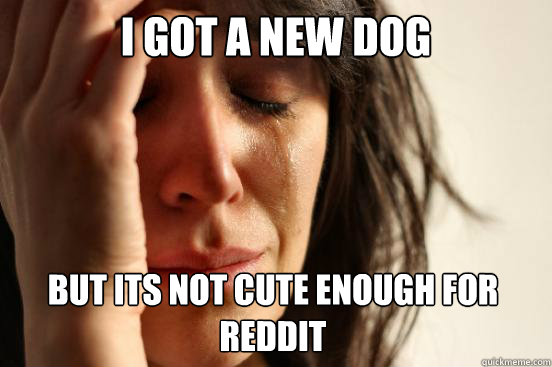 I got a new dog but its not cute enough for reddit - I got a new dog but its not cute enough for reddit  First World Problems