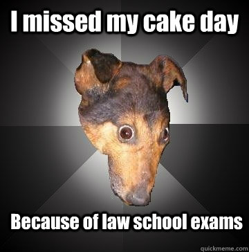 I missed my cake day Because of law school exams - I missed my cake day Because of law school exams  Depression Dog