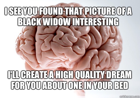 I see you found that picture of a black widow interesting I'll create a high quality dream for you about one in your bed   Scumbag Brain