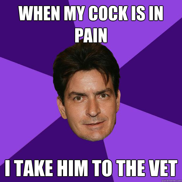 When my cock is in pain I take him to the vet  Clean Sheen