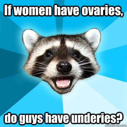 If women have ovaries,  do guys have underies?  Lame Pun Coon