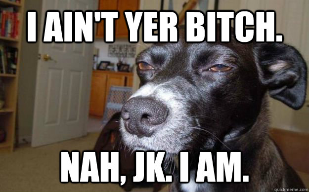 I ain't yer bitch. Nah, jk. I am.  Skeptical Mutt