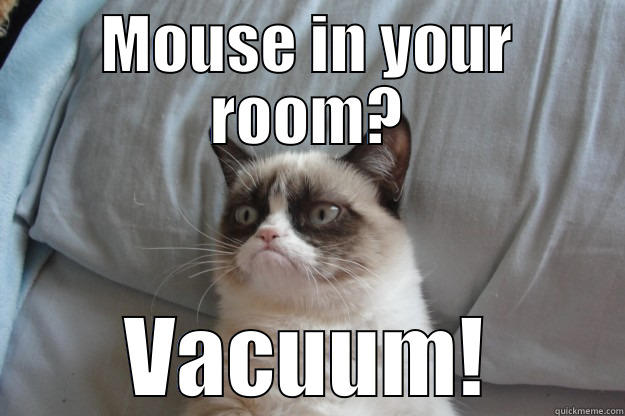 MOUSE IN YOUR ROOM? VACUUM! Grumpy Cat