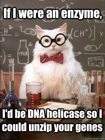 If I were an enzyme,  I'd be DNA helicase so I could unzip your genes  Chemistry Cat