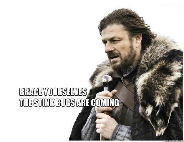 Brace yourselves
the stink bugs are coming  Imminent Ned