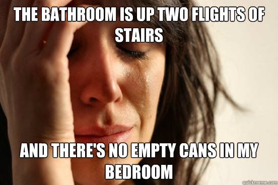 the bathroom is up two flights of stairs and there's no empty cans in my bedroom  First World Problems