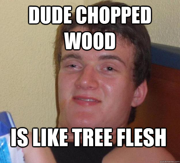 dude chopped wood is like tree flesh  10 Guy