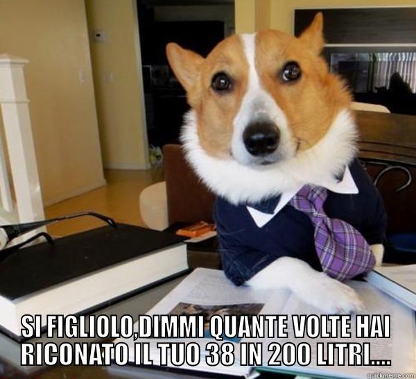  SI FIGLIOLO,DIMMI QUANTE VOLTE HAI RICONATO IL TUO 38 IN 200 LITRI.... Lawyer Dog