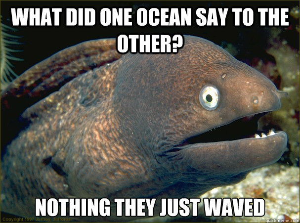 what did one ocean say to the other? nothing they just waved  Bad Joke Eel